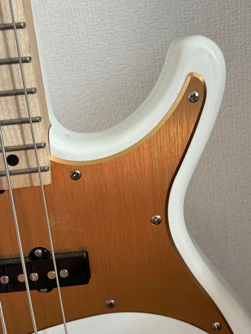 ARIA PRO II RSB SERIES 5弦ベース