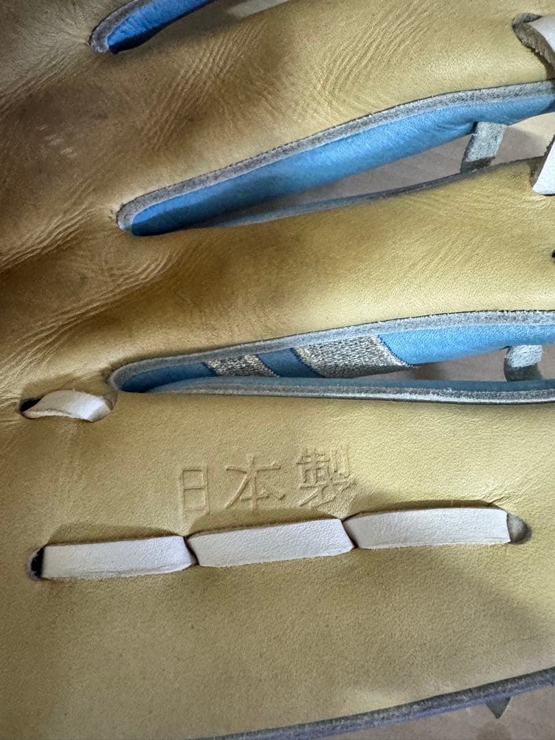 【限定品】ナイキ　謝道　硬式　グローブ