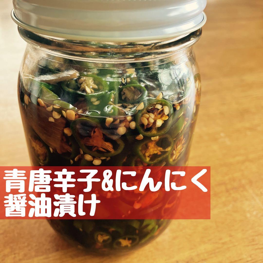 青唐辛子　7キロ　大量　業務用　柚子胡椒　南蛮　青とうがらし