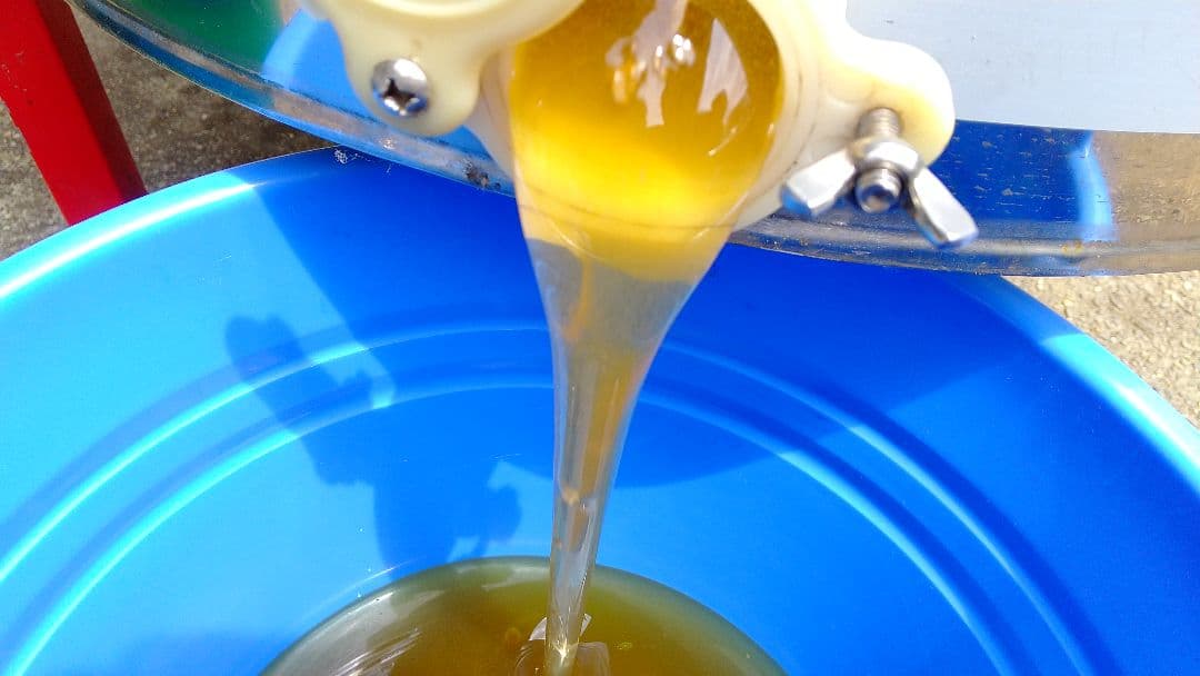 はちみつ 2kg 国産 天然 純粋 非加熱 蜂蜜 2000g 【養蜂家直送】