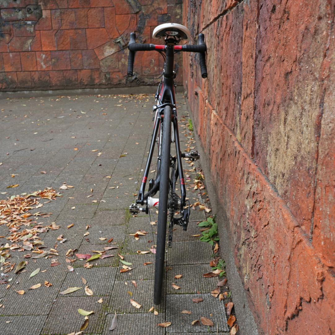 FOCUS CAYO【カーボンロードバイク・シマノ105・サイズ52】