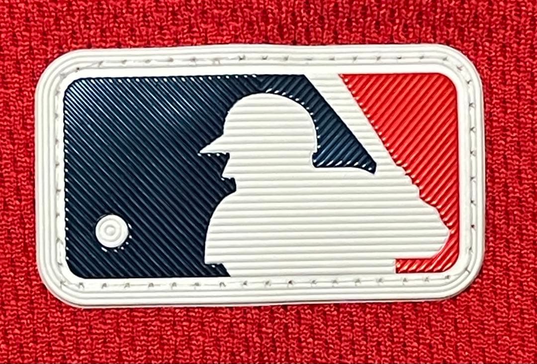 Pedro Martinez Team Issued MLBジャージ　激レア！