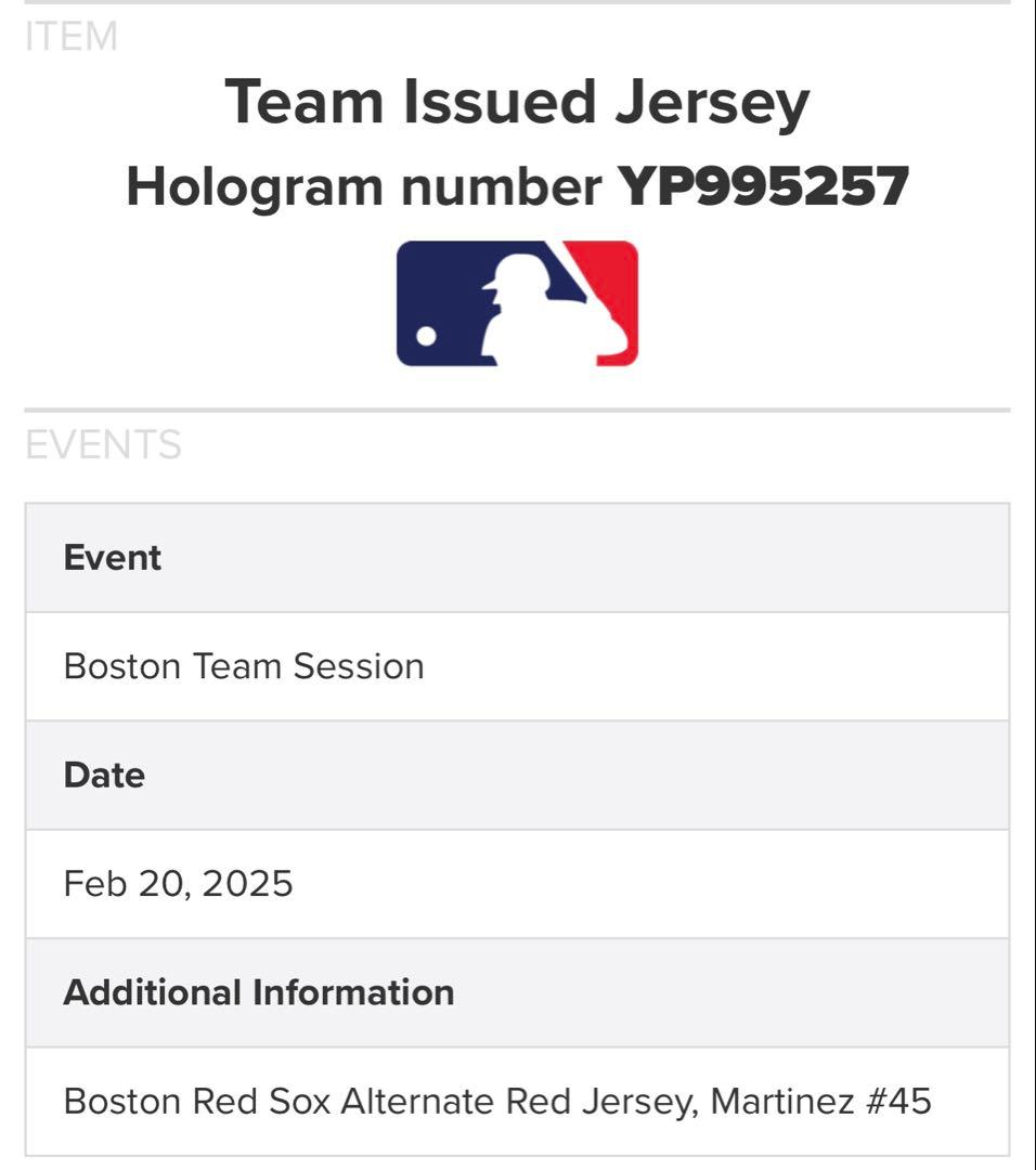 Pedro Martinez Team Issued MLBジャージ　激レア！