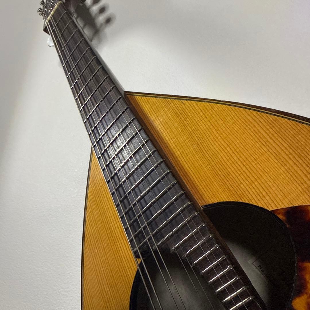 藤丸常夫　No.artistマンドリン