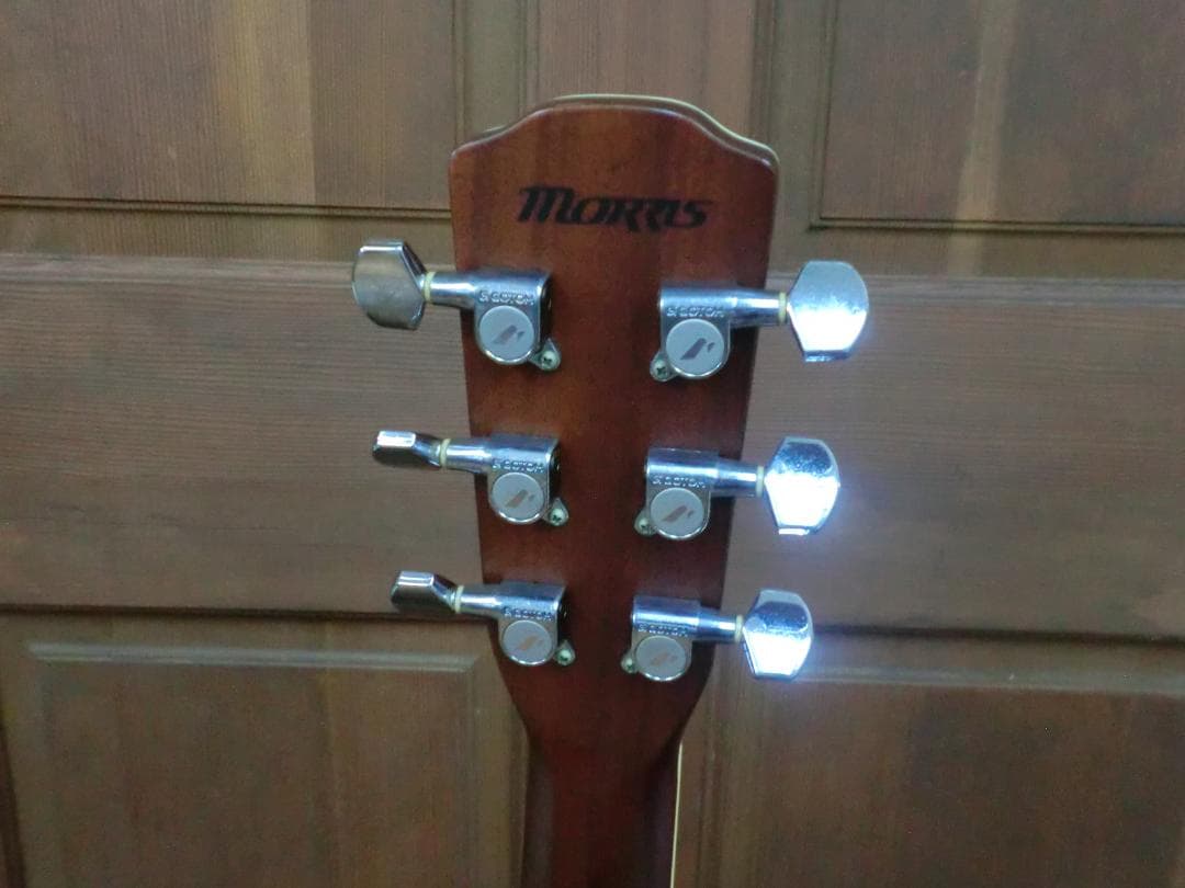 ギター Morris MF-501