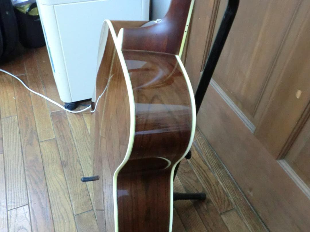 ギター Morris MF-501