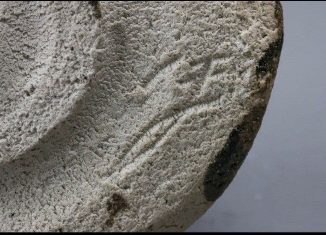 激渋⭐︎青木鵬麿瀬戸黒茶碗山田和辻村塊加藤唐九郎山口真人辻村史朗加藤亮太郎堀一郎