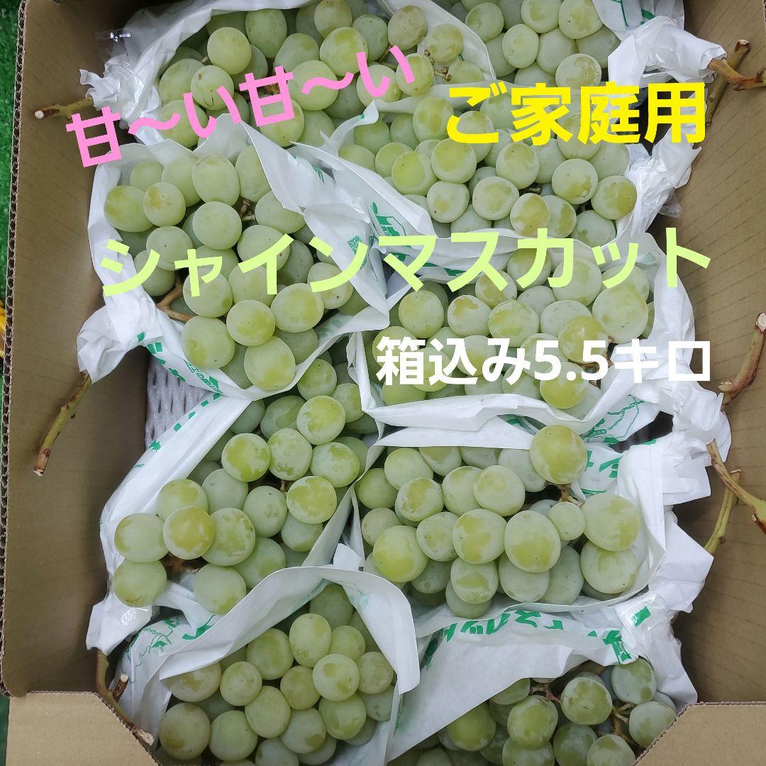 8️⃣ 山梨県産 シャインマスカット ９房入り 箱込み5.5キロ