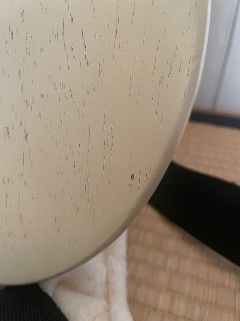 GrassRoots レスポール G-LS-57