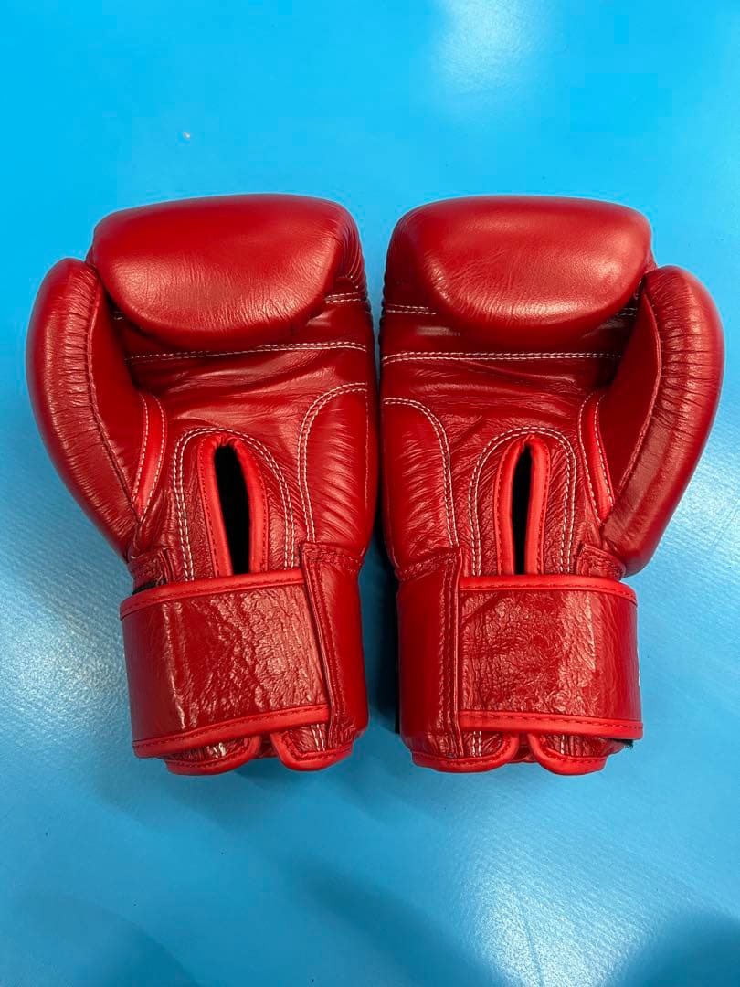 WINDY ボクシンググローブ 10 oz 赤