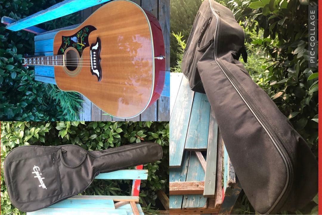 Epiphone DOVE NA Fishman搭載