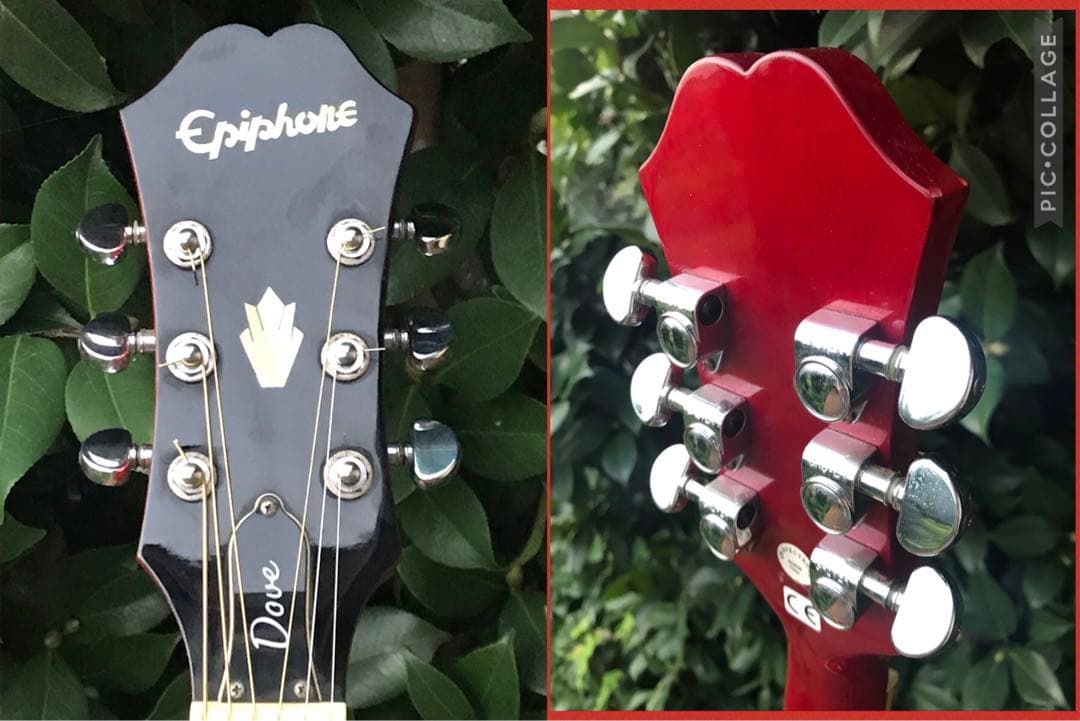 Epiphone DOVE NA Fishman搭載