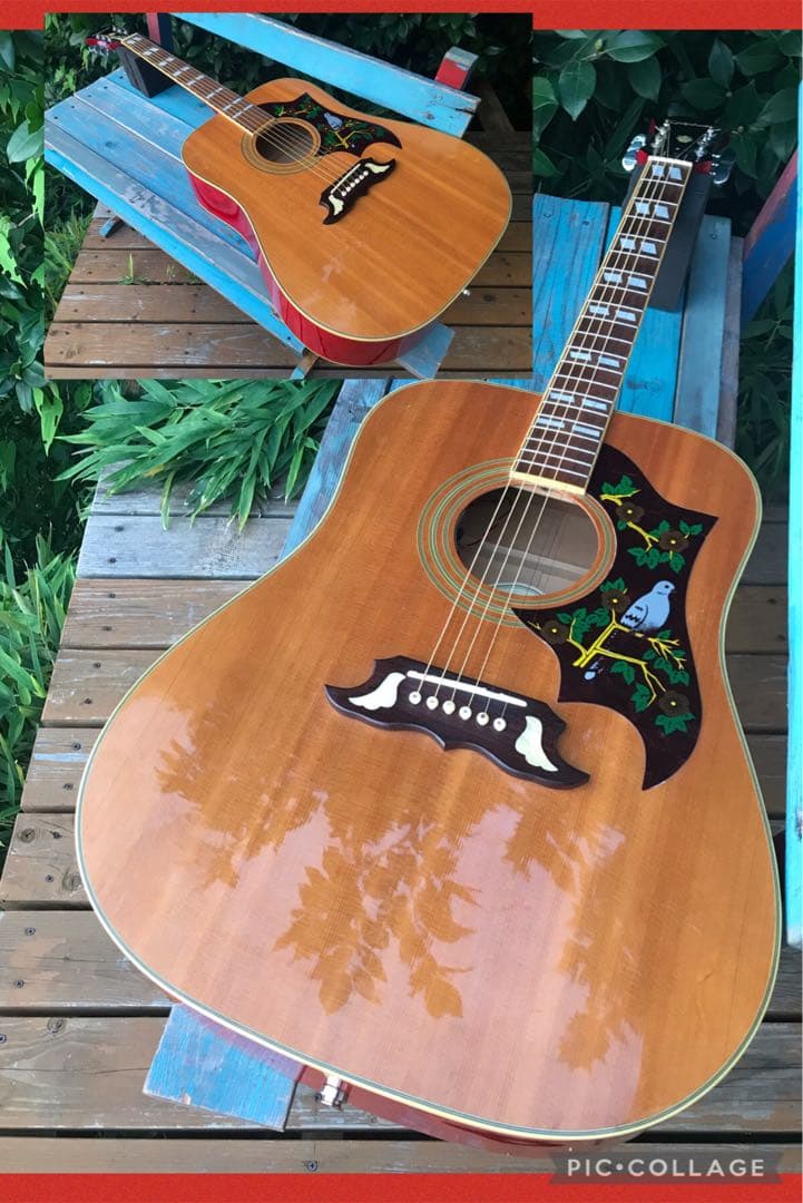 Epiphone DOVE NA Fishman搭載