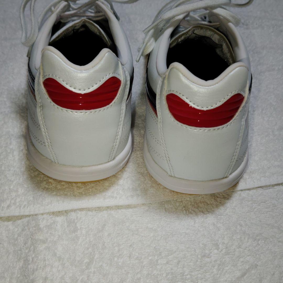 ミズノ　フットサルシューズ 　モレリア 　インドア　サイズ24.5