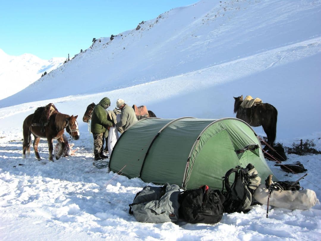 HILLEBERG ヒルバーグ ケロン4GT グリーン 正規品 新品 未開封品