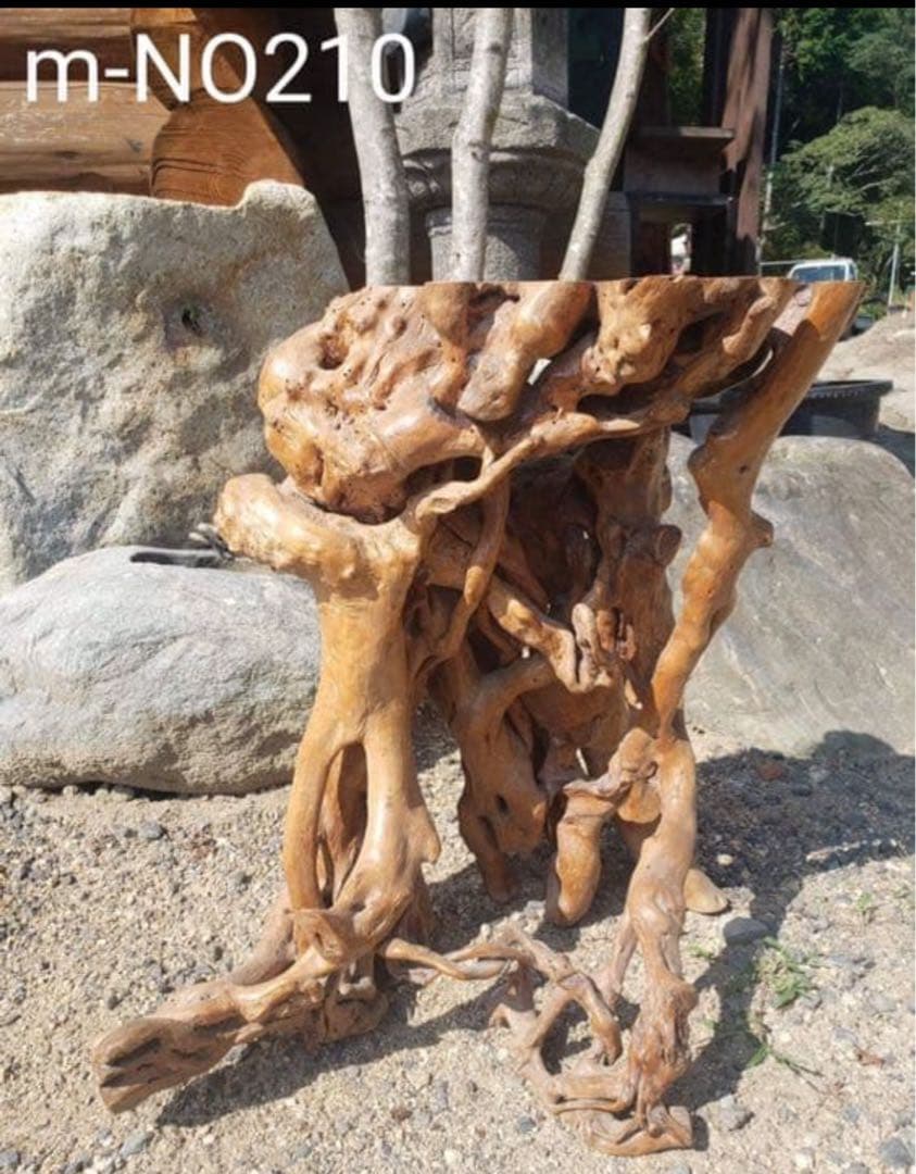盆栽花台　根卓　ユニークな木製インテリアオブジェ m-NO210高さ60センチ