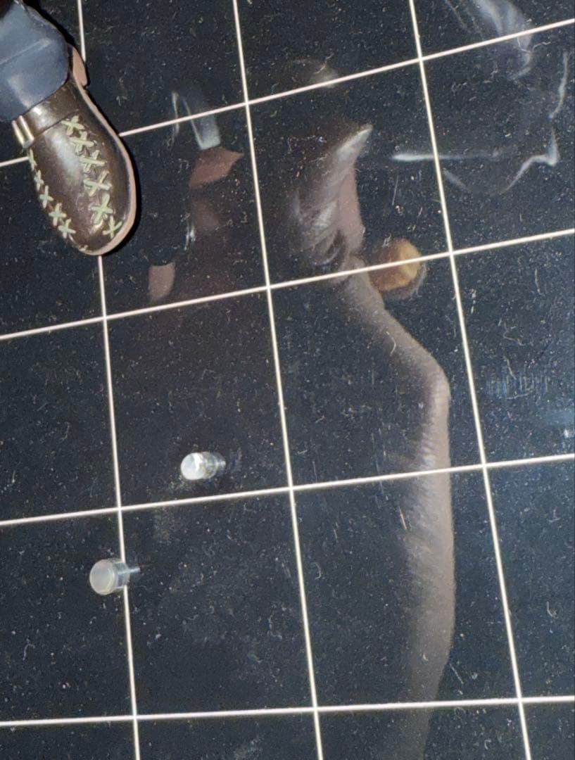 ペルソナ4 フィギュア