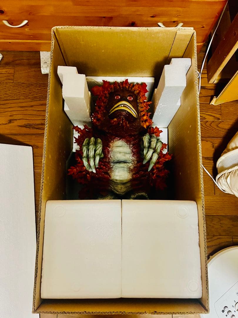 はんそで プレジデントジャパン 55cmガラモン