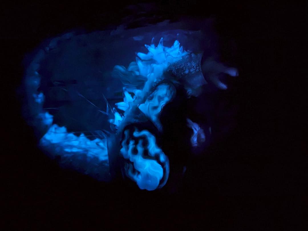 Frog Tree ゴジラ-1.0 2023 海ノ焔 蓄光 ソフビ WF2025