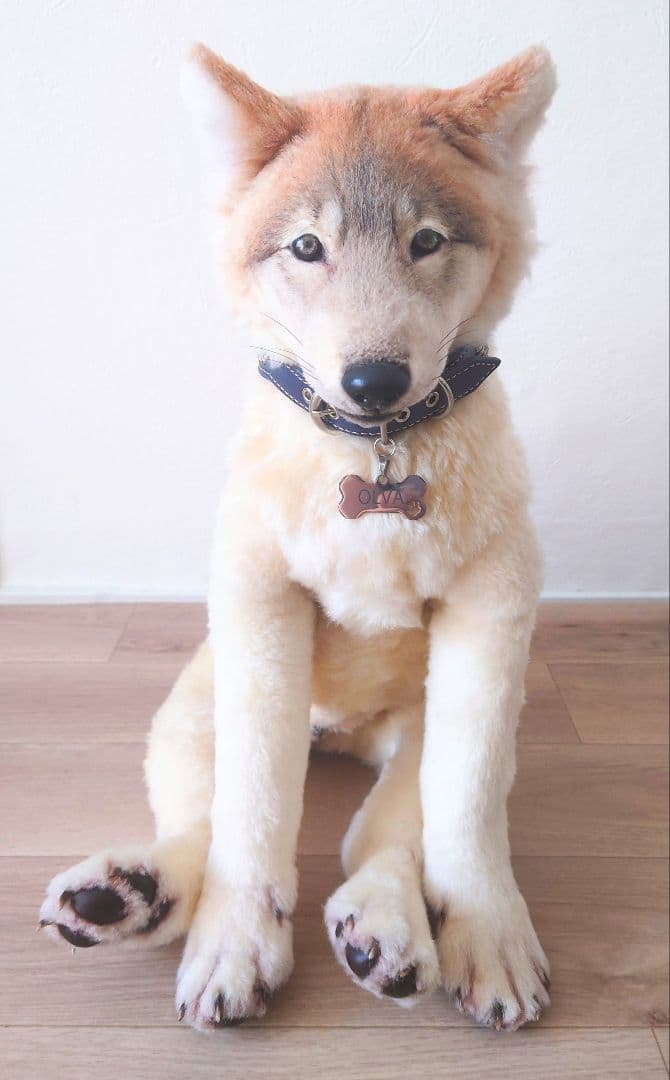 作家様製　子狼アートドール