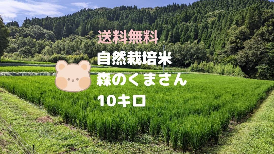 ★自然栽培米　玄米10kg(5kg×2)　令和7年度　熊本県産　森のくまさん★