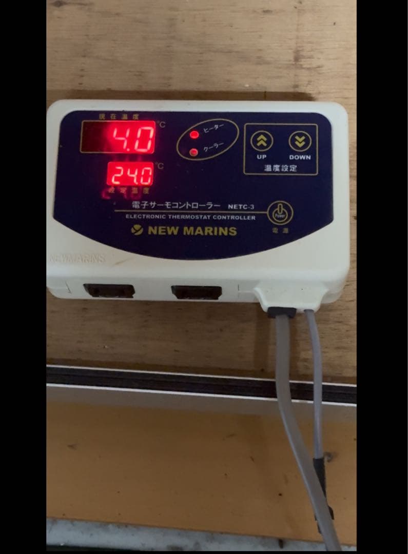 ガラス温室　直接引き取り限定