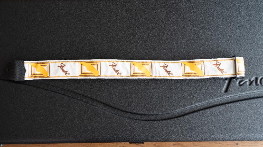 【コンソメ】Fender American Professional