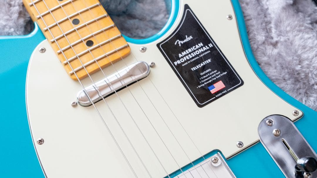 【コンソメ】Fender American Professional