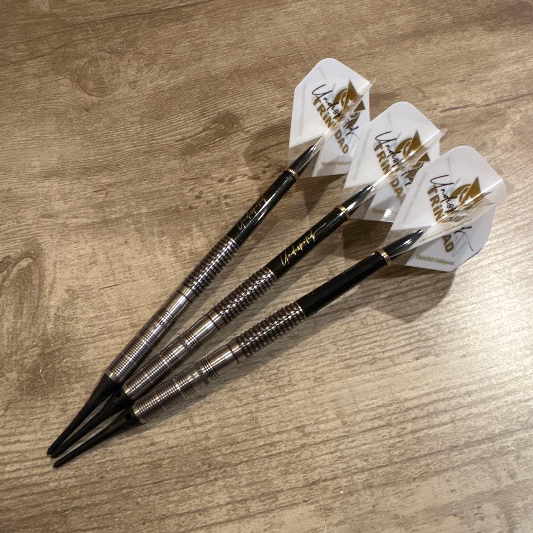 HUGO2エスダーツ限定モデル　ヒューゴ リョンモデル 極美品