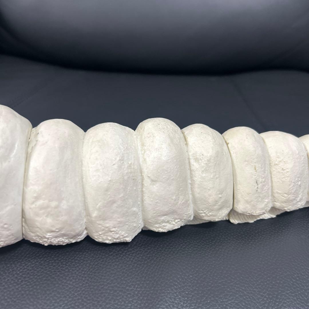 パラダイス　モスラ　幼虫(約４０センチ)　モスラ対ゴジラ