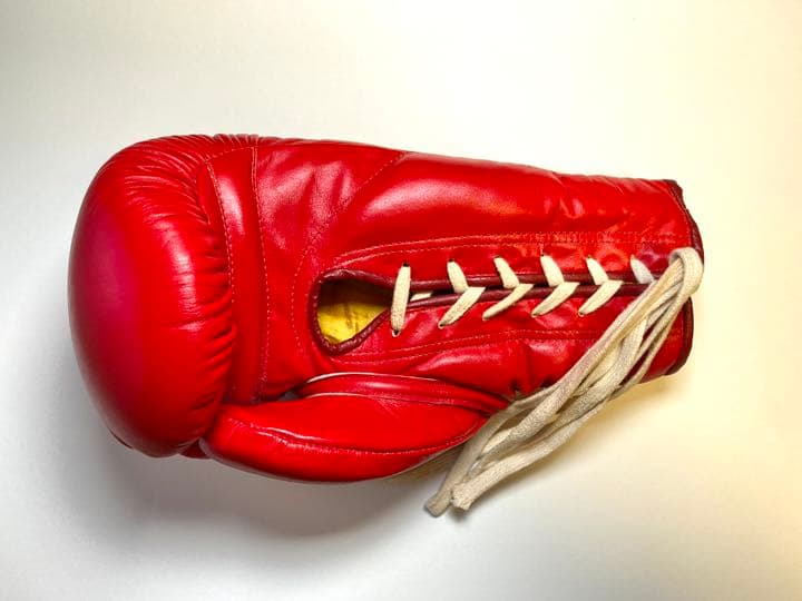 K-1ファイター 7名のサイングローブ