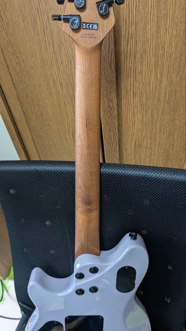 EVH Wolfgang Standard【ネック少々難あり】