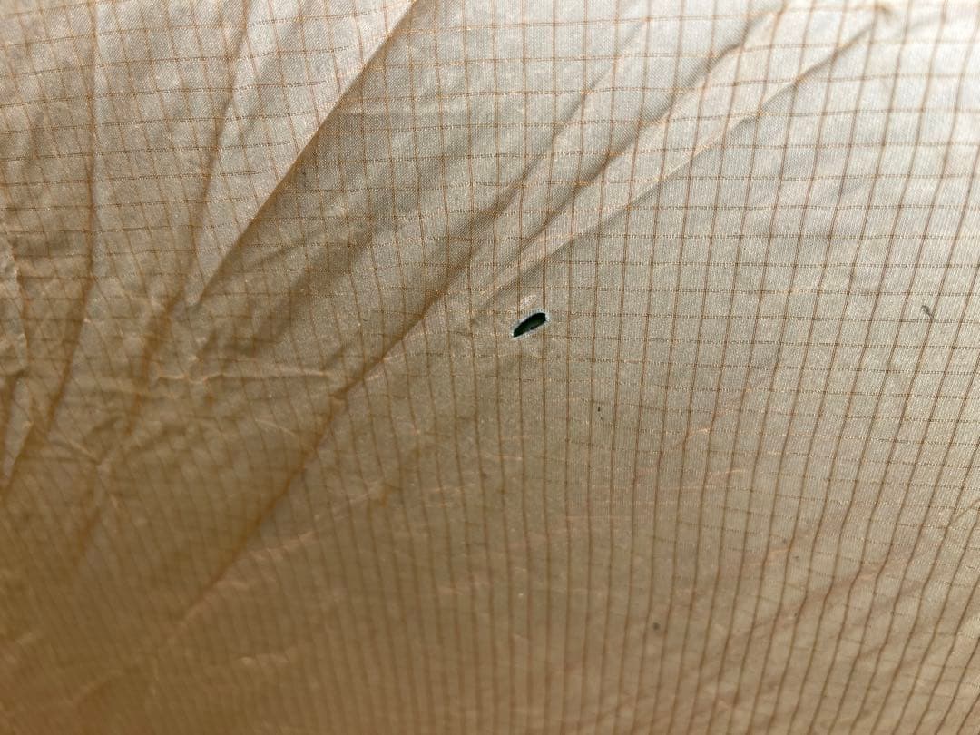 とし　シークアウトサイド　レッドクリフ　ブラウン