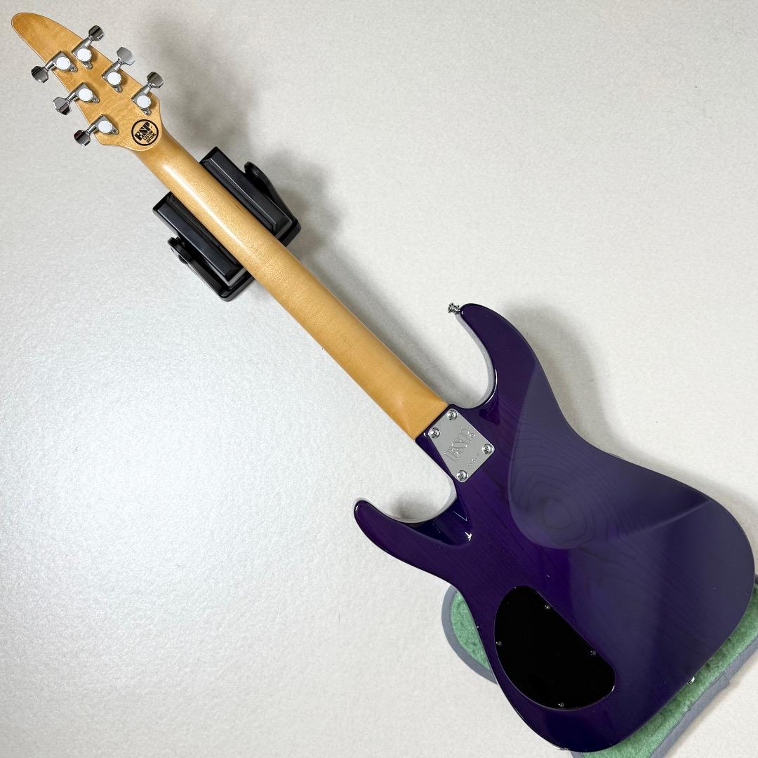 ESP HORIZON ホライゾン エレキギター 日本製 Dimarzio PU