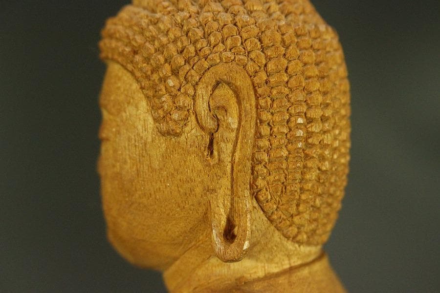 仏教美術 木彫 仏像(A704)