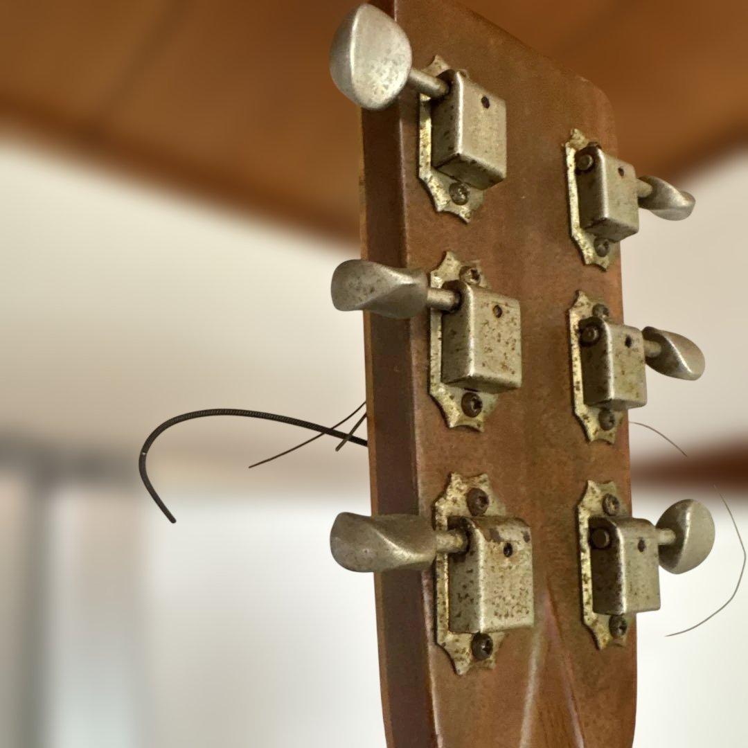 Morales モラレス　BM-35