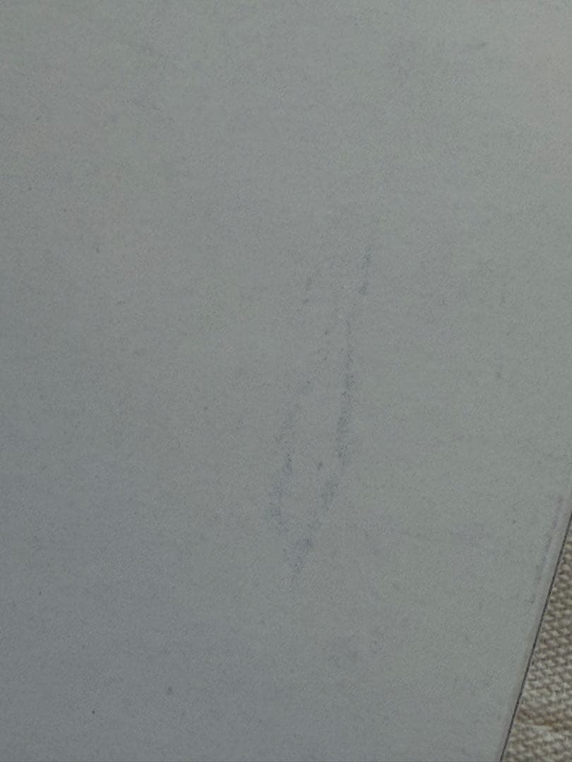 お値下げ不可 セーラー万年筆 アンコーラ 紫陽花 クリアM