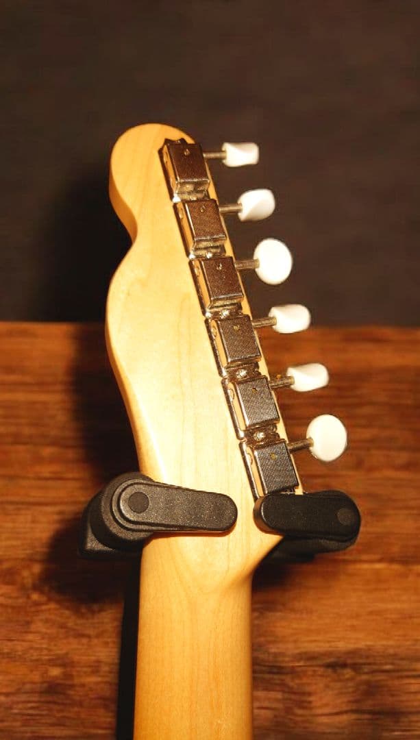 イ*ル様 【軽量2.96kg！】サイケデリズム シンライン テレキャスター アイ