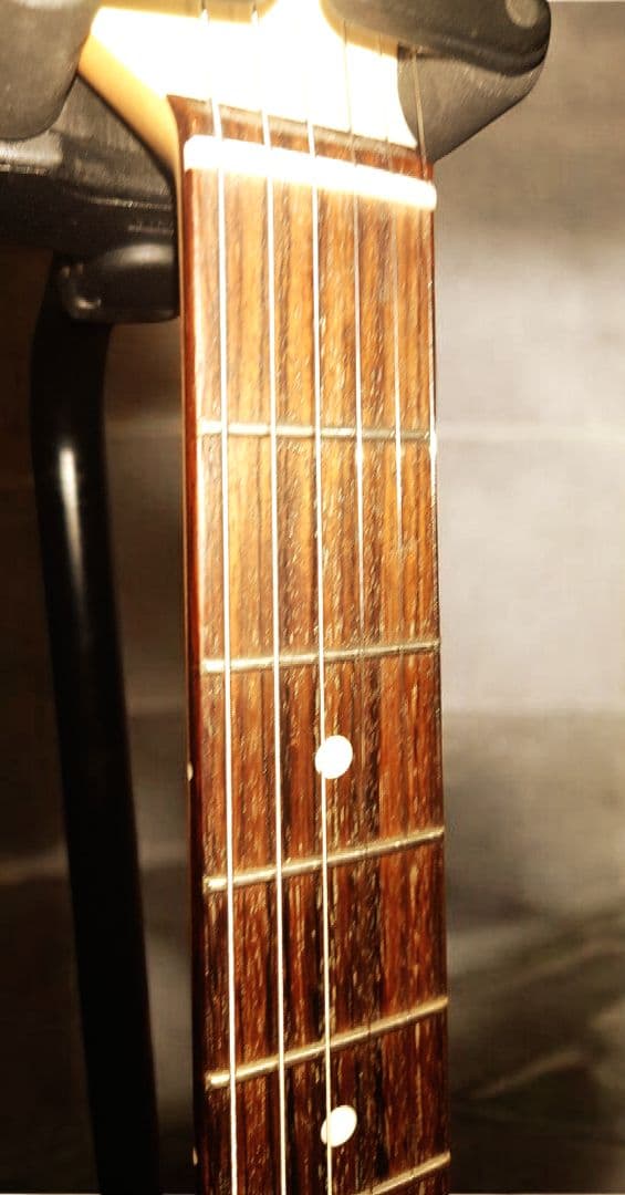 イ*ル様 【軽量2.96kg！】サイケデリズム シンライン テレキャスター アイ