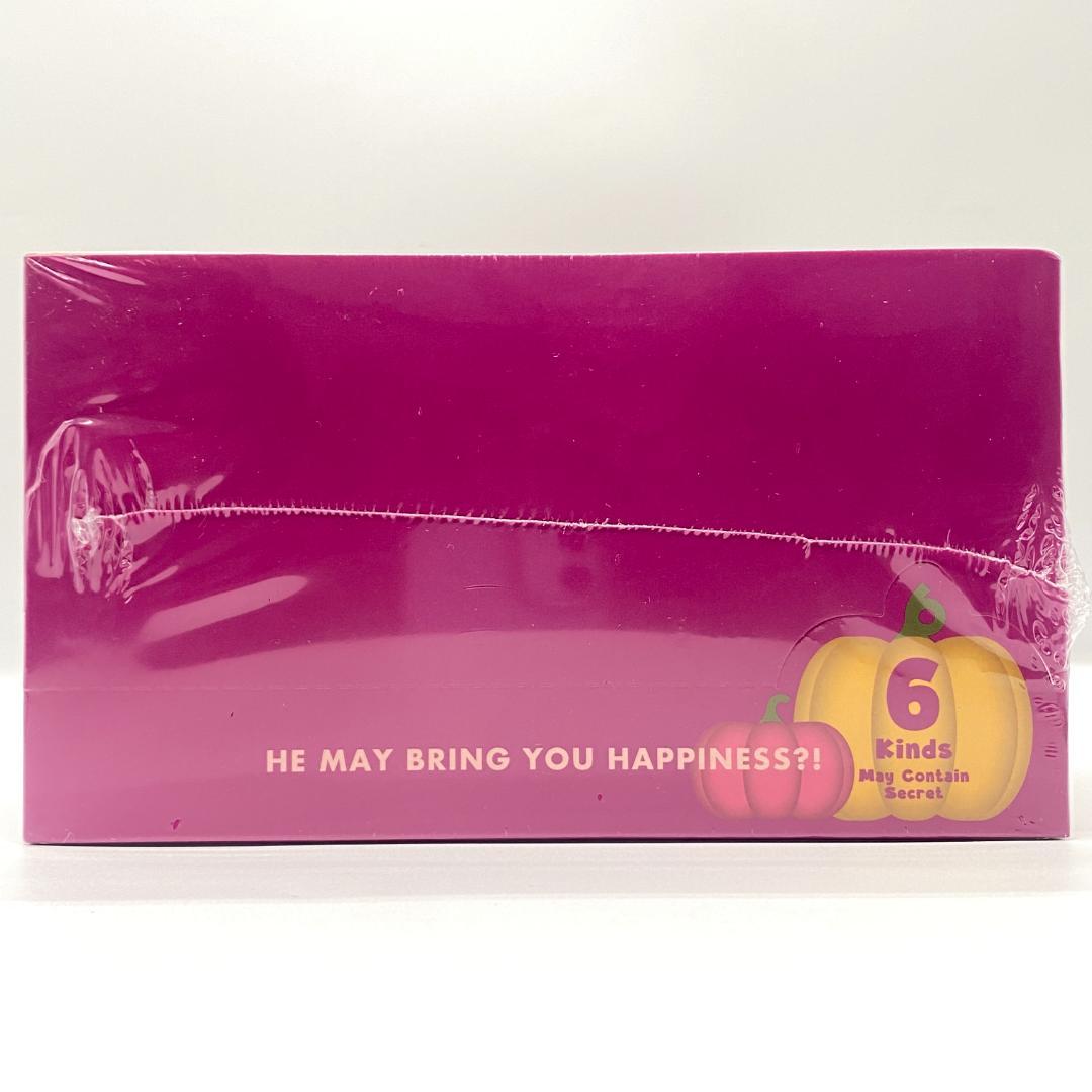 ソニーエンジェル パンプキン 1箱(6個入り）OM045