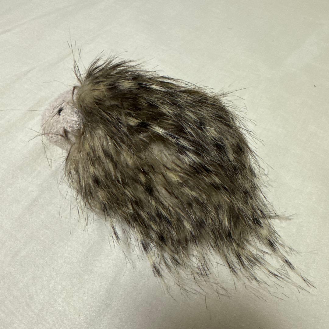 ジェリーキャット ゴージャスギニアピッグ ゴージャス モルモット