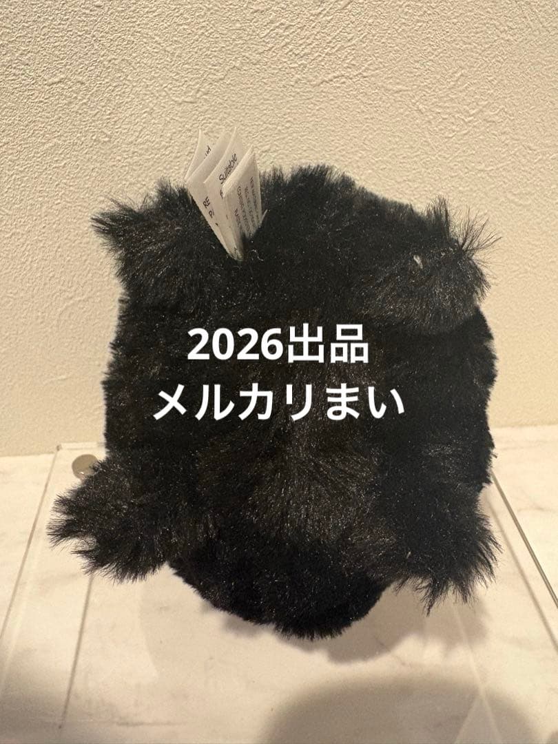  Black Kitten Caboodle 黒猫 ぬいぐるみ