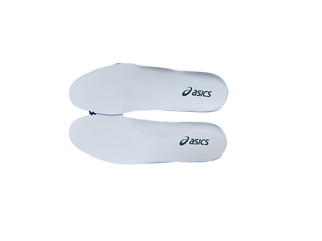 「新品未使用」asics DS LIGHT ホワイト/ベロアグリーン