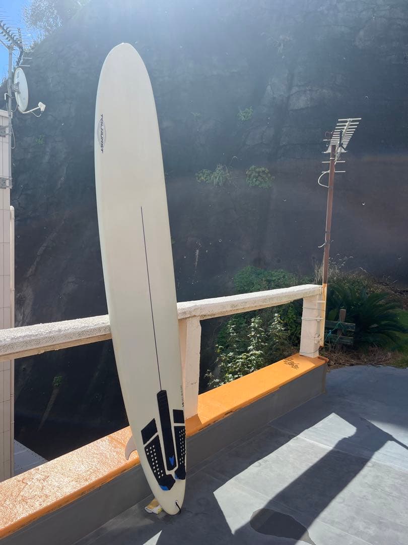 ハーレーイングルビー サンダーボルト ジオンカーボン9.1 センターフィン付き