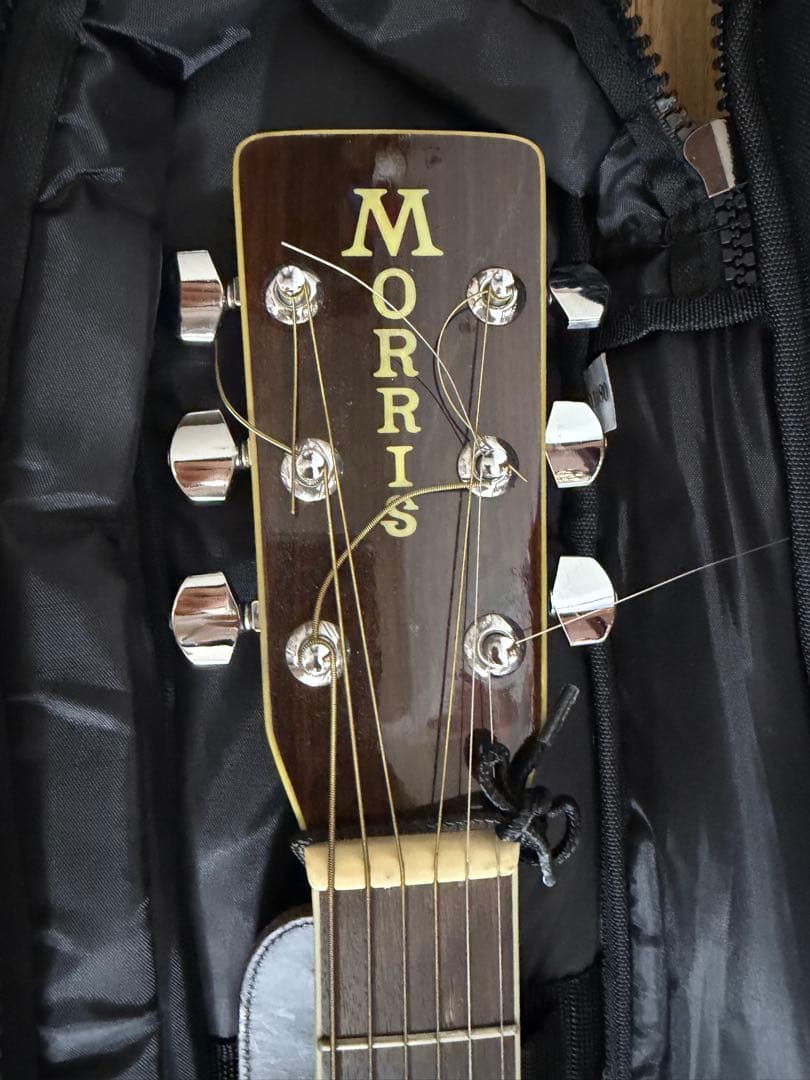 MORRIS アコースティックギター ストラップ付き