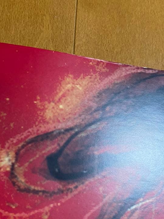 【未使用】mtg force of will 意志の力　リトグラフ