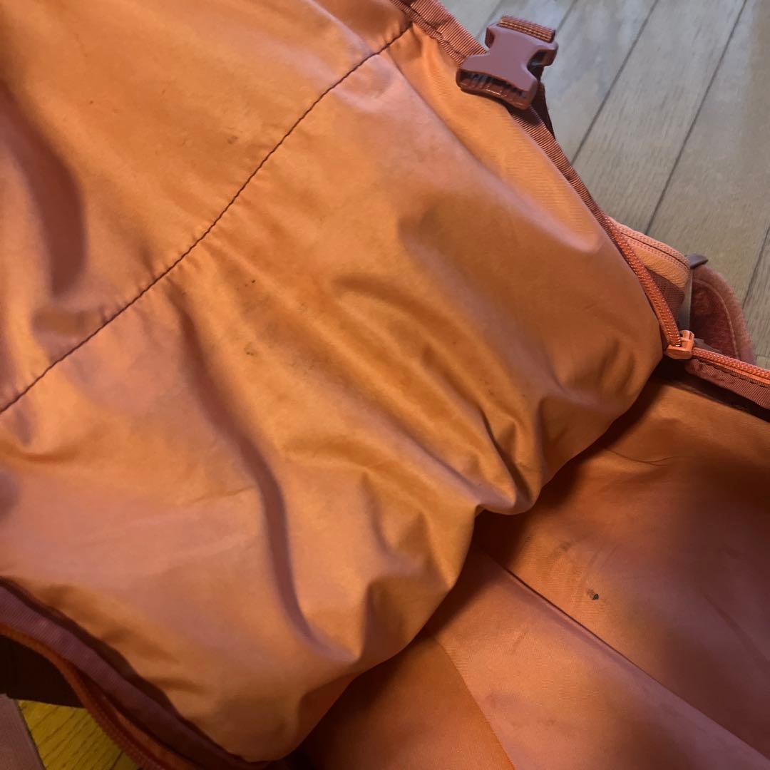 DAKINE HELI PRO 20 バックパック ピンク