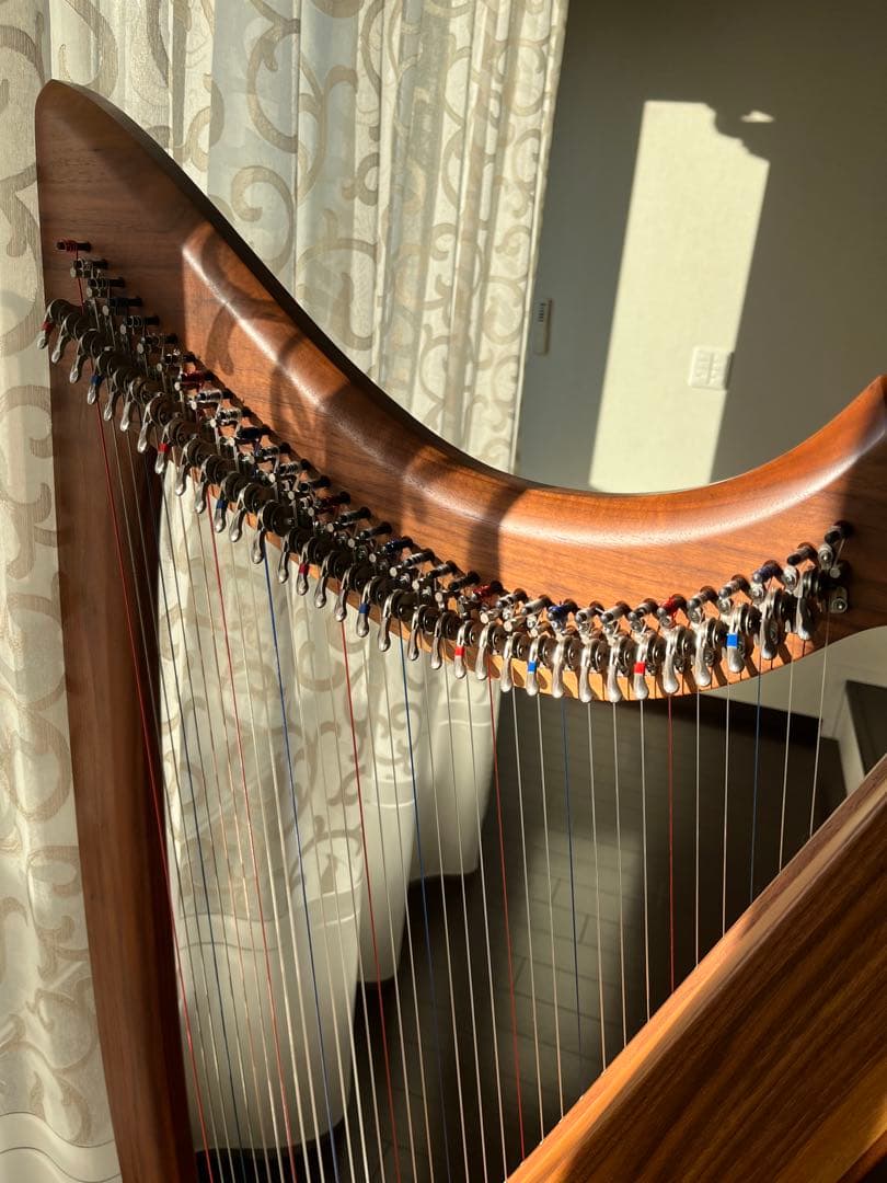 Triplett社 ハープ シエラ34弦