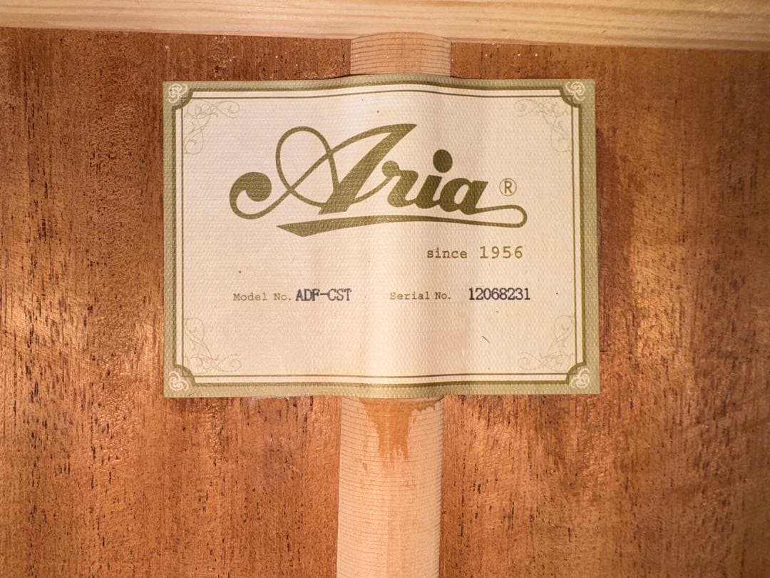 【セール中】Aria オール単板 Fishmanピックアップ付き ADF-CST