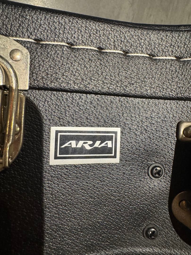 【セール中】Aria オール単板 Fishmanピックアップ付き ADF-CST